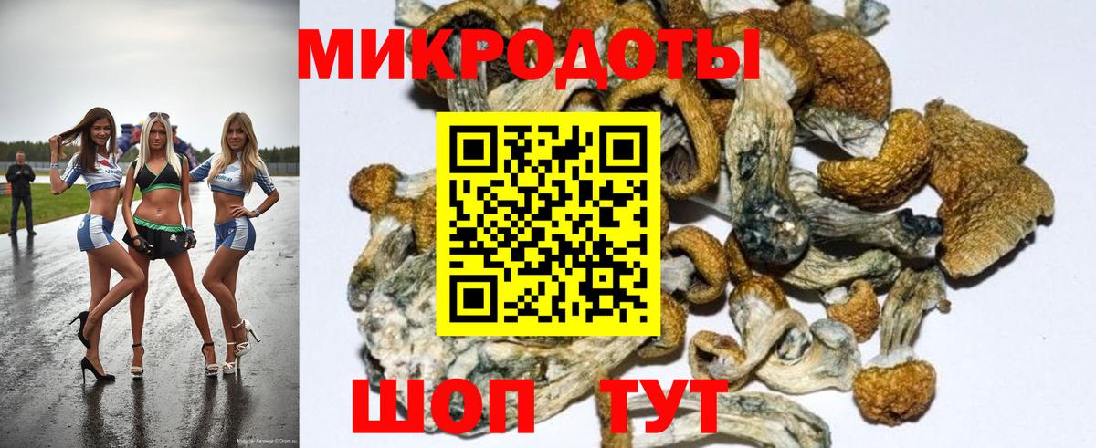 Галлюциногенные грибы Magic Shrooms  Вход с VPN  Псилоцибиновые грибы Psilocybine cubensis  Славгород 