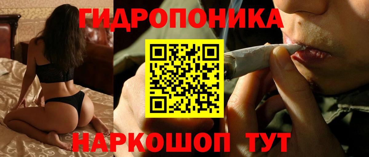 Бошки марихуана конопля  Конопля индика  Вход с VPN  Славгород 